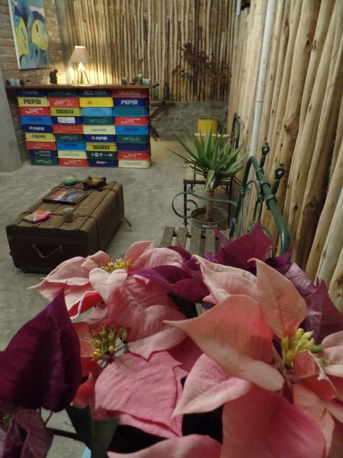 The Upcycled Hostel Huacachina 이카 외부 사진